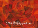 Sleep Walking Orchestra