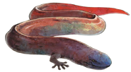 Wyrm