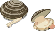 Nightmares clams.
