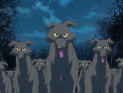 Anime wolves