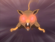 Rats anime