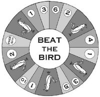 Beat the bird