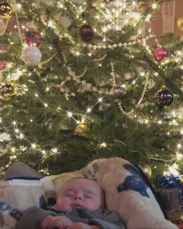 Un Bebe Pour Noel Wiki Demain Nous Appartient Fandom