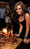 Demi Lovato Birthday