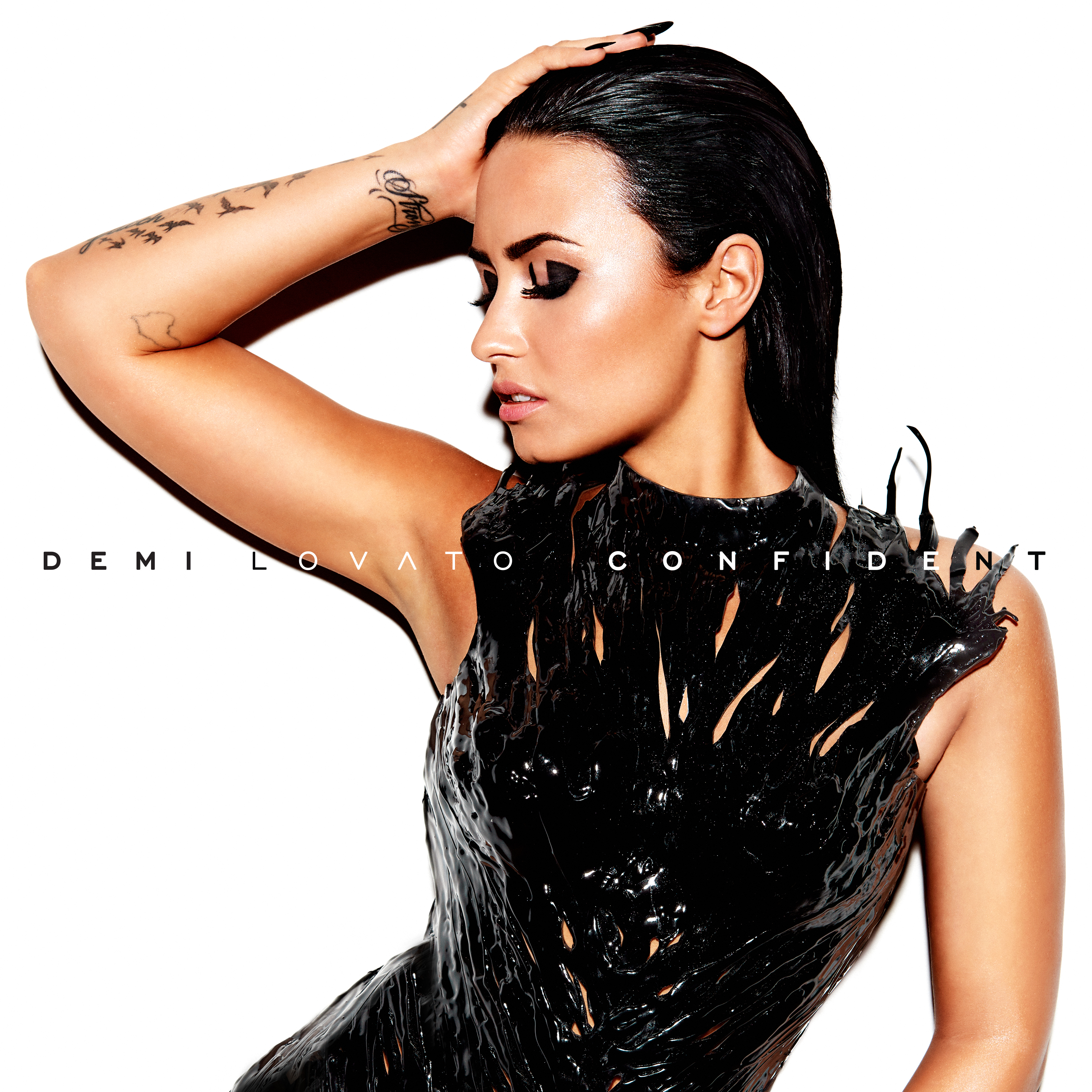 DEMI LOVATO Demi Album Display Deluxe , two pieces demi