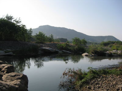 IMG 2513.jpg