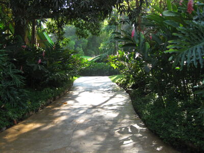 IMG 2810.jpg