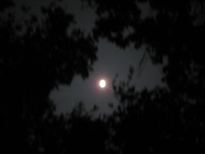 IMG 3223.jpg