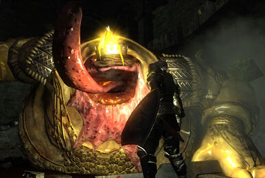 Stockpile Thomas - Demon's Souls English Wiki