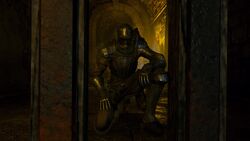 The Lord's Path  Demons Souls Wiki