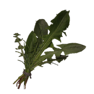Crescent Moon Grass in Demon's Souls Remake