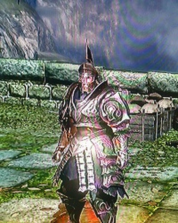 Brushwood Set Demon S Souls Wiki Fandom