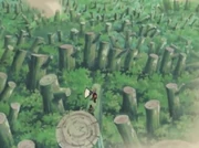 Die Auswirkungen von Temaris Wirbelsturm