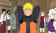 NarutoFolge219