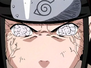 Hyuuga-Clan | Narutopedia | Fandom