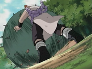 Chojivsjirobo3