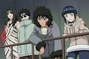 Komplettes Team8