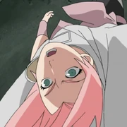 Sakuras zweiter Anlauf