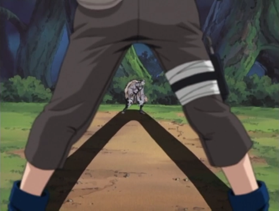 Shikamaru Nara Narutopedia Fandom
