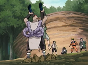 Chojivsjirobo1
