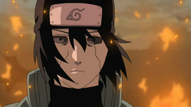 NSFolge307