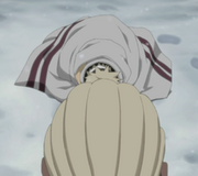 Naruto fällt vor dem Raikage auf die Knie