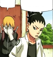 Shikadai ist genervt