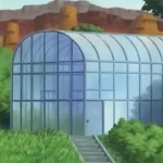Wind-greenhouse.jpg (14 KB) Gewächshaus