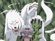 Kiba und Akamaru