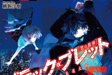 Black Bullet Vol. 4 Vengeance Is Mine - English Light Novel by Shiden  Kanzaki