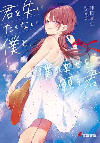 Kimi wa Boku no Regret (Light Novel) Manga