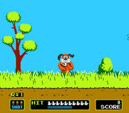 Duck Hunt 2