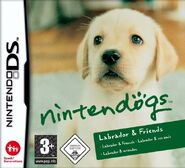 Labrador und Freunde