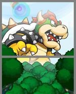 Bowser wächst