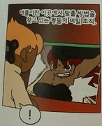 (1), volume 1