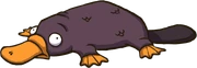 Wasserschnabeltier