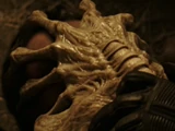 Praeto-facehugger