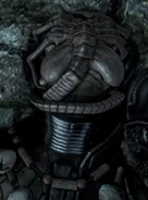 Un Facehugger infectando al Wolf (BG-386)