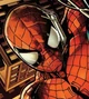 Peter Parker Spidey profile