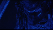 Predator-2-close-up