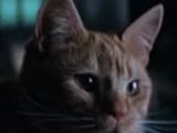 Jonesy