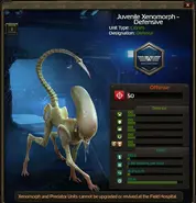 Juvenil Xenomorph Defensive