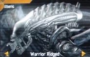 Warrior Ridged