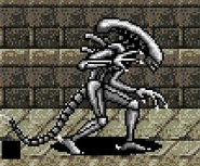 Un Drone en Alien vs. Predator (Elite)