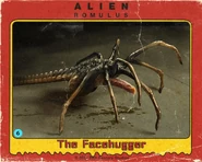 Carta 6 - The Facehugger de Alien: Romulus