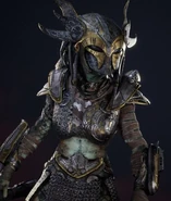 Valkyrie Predator
