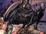 Un enorme Drone atacando a Brea