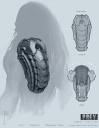 Shoulder Pack