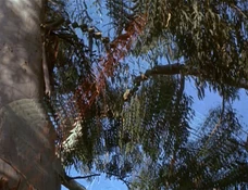  utilizando su Camuflaje mientras observa el arma de juguete del pequeño Brian