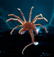 Aspecto del "Facehugger" en Aliens: Dark Descent